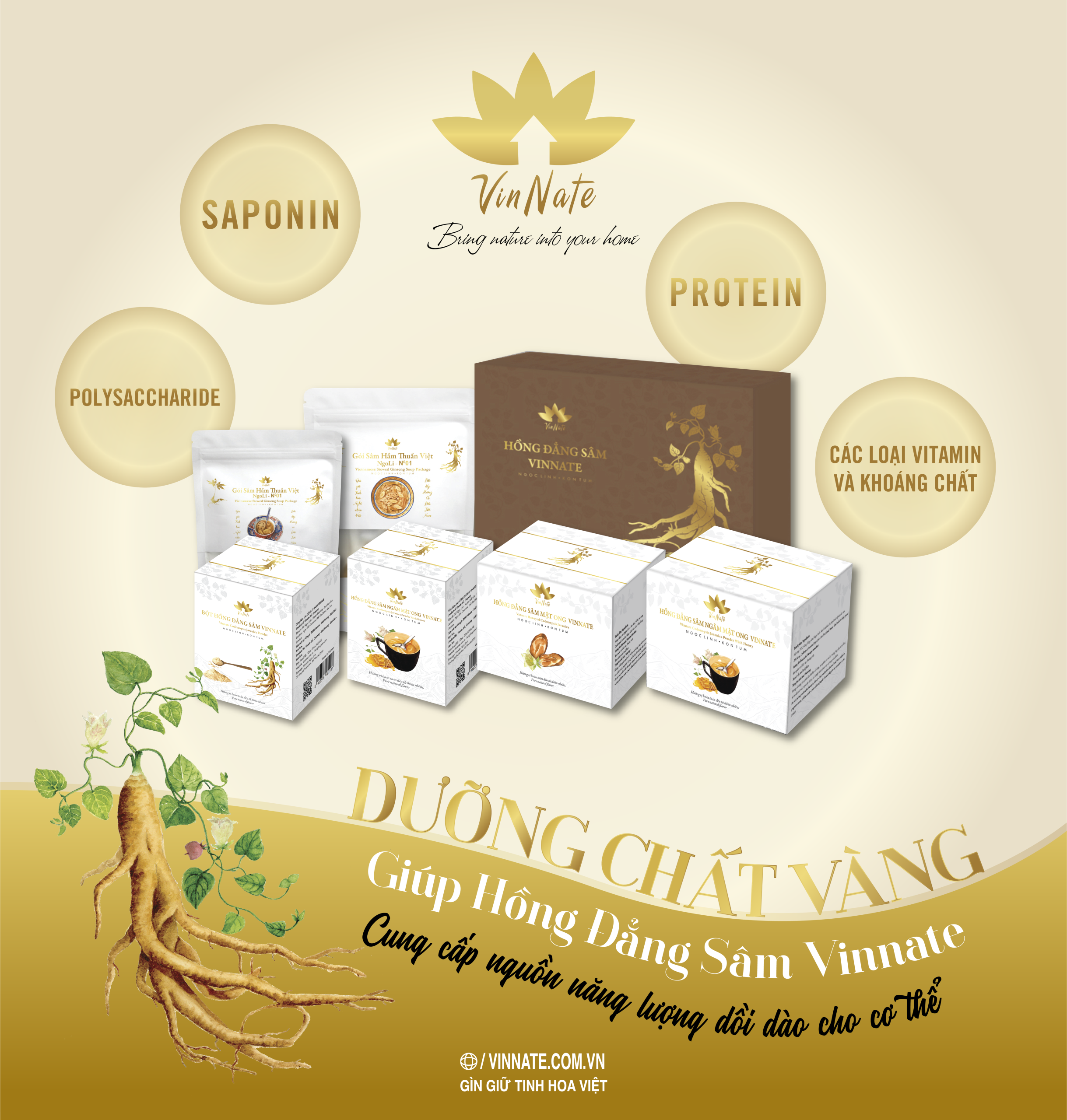 HỒNG ĐẲNG SÂM CÓ THỂ HỖ TRỢ ĐIỀU TRỊ BỆNH NÀO?