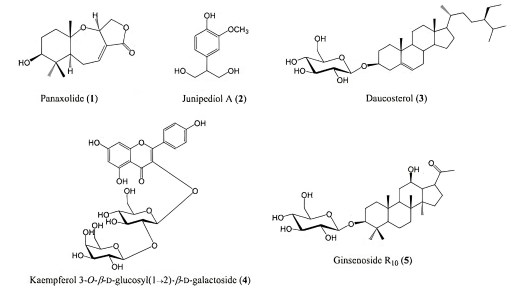 Thành phần Steroid, Terpenoid tự do và Sesquiterpene Lactone trong Sâm Ngọc Linh