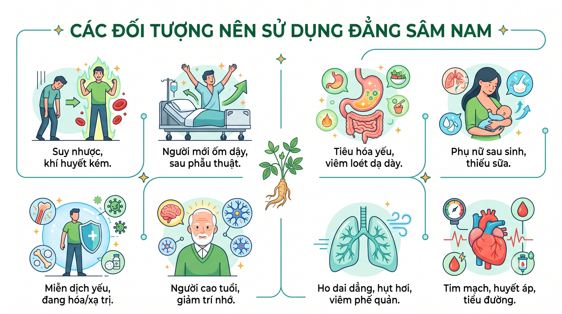 Các đối tượng nên sử dụng Đẳng Sâm Nam