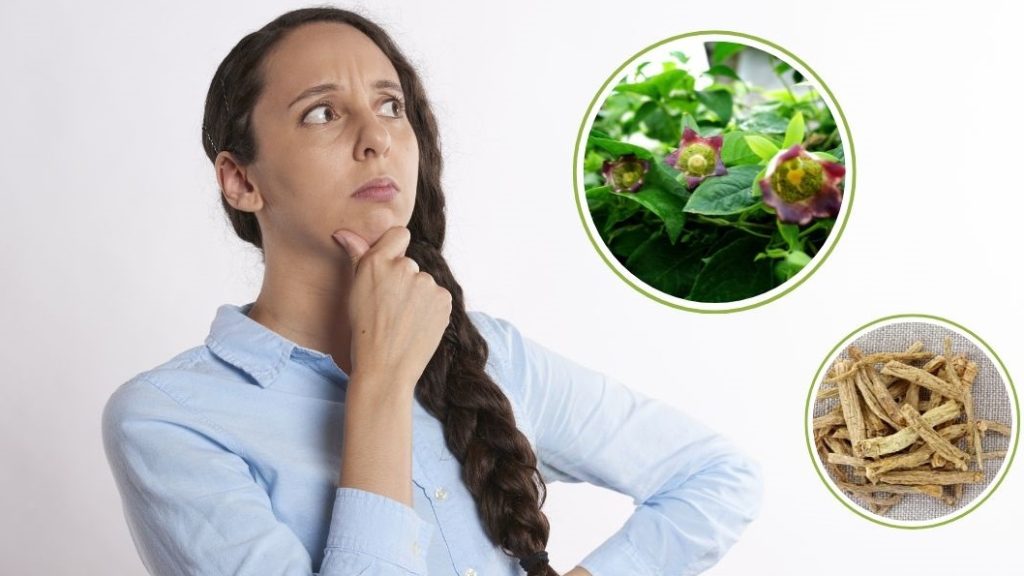 Đối tượng dùng đẳng sâm