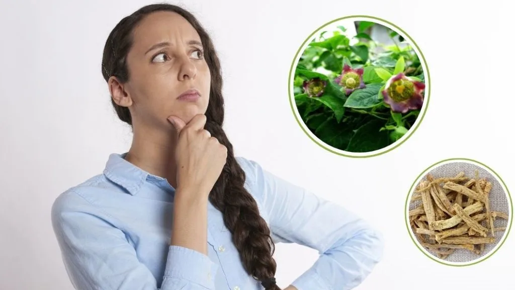 Đối tượng dùng đẳng sâm