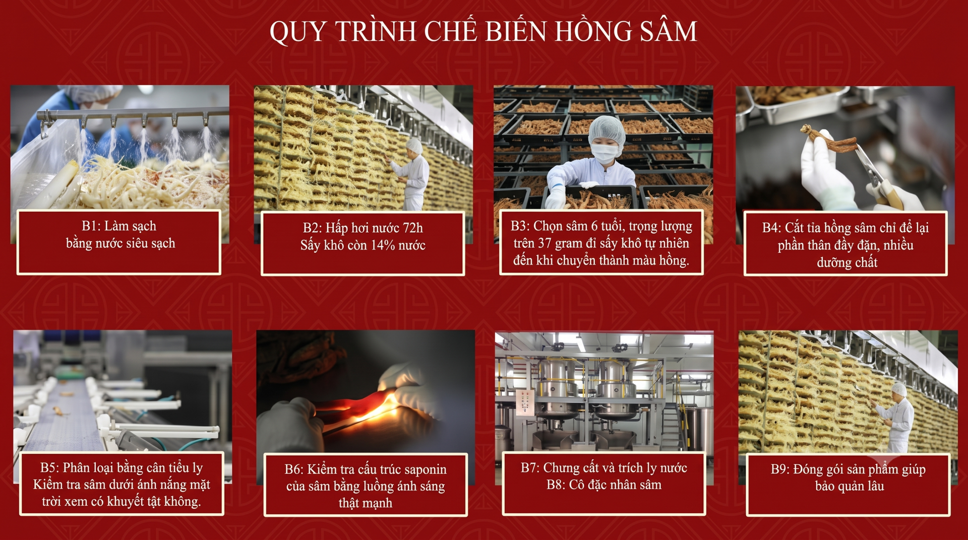 Quy trình chế biến hồng sam
